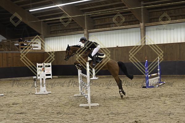 Fränkische Meisterschaft - Prüfung 11, Springpr. Kl. L - Image 47