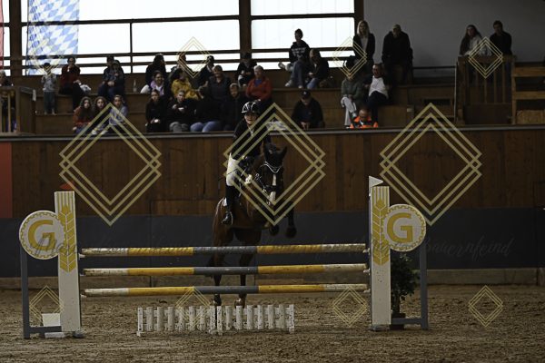 Fränkische Meisterschaft - Prüfung 24, Springpr. Kl. L - Image 11