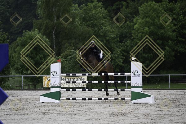 Fränkische Meisterschaft - Prüfung 1, Springpr. Kl. S* - Image 3