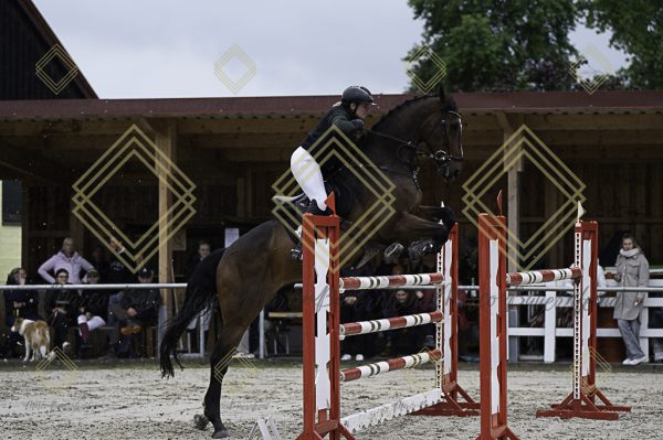 Fränkische Meisterschaft - Prüfung 1, Springpr. Kl. S* - Image 11