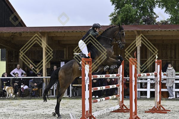 Fränkische Meisterschaft - Prüfung 1, Springpr. Kl. S* - Image 12