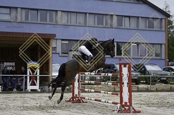 Fränkische Meisterschaft - Prüfung 1, Springpr. Kl. S* - Image 13