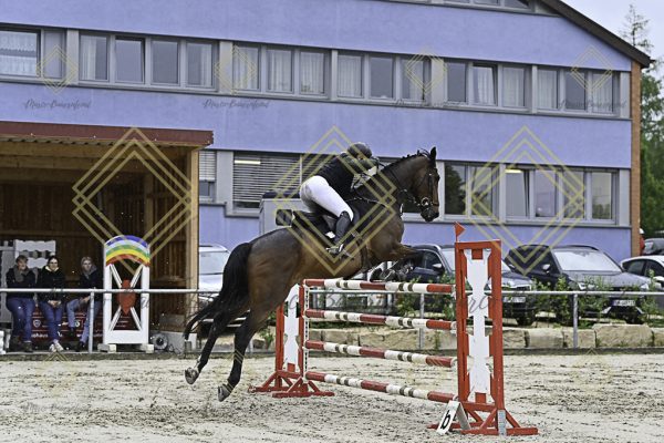 Fränkische Meisterschaft - Prüfung 1, Springpr. Kl. S* - Image 14