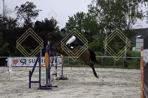 Fränkische Meisterschaft - Prüfung 1, Springpr. Kl. S* - Image 18