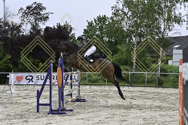 Fränkische Meisterschaft - Prüfung 1, Springpr. Kl. S* - Image 19