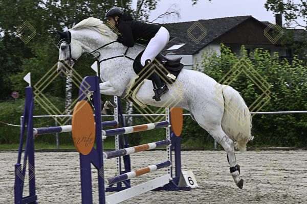 Fränkische Meisterschaft - Prüfung 18, Springpr. Kl. M* - Image 24
