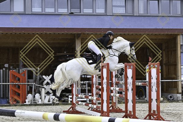 Fränkische Meisterschaft - Prüfung 18, Springpr. Kl. M* - Image 26