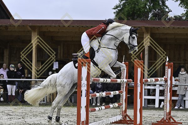 Fränkische Meisterschaft - Prüfung 1, Springpr. Kl. S* - Image 23