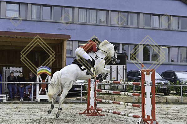 Fränkische Meisterschaft - Prüfung 1, Springpr. Kl. S* - Image 24