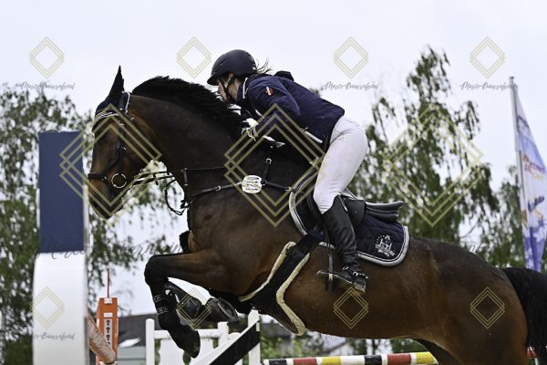 Fränkische Meisterschaft - Prüfung 1, Springpr. Kl. S* - Image 29