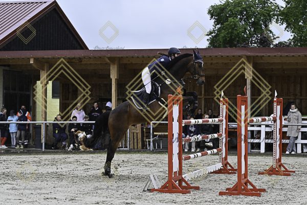 Fränkische Meisterschaft - Prüfung 1, Springpr. Kl. S* - Image 32