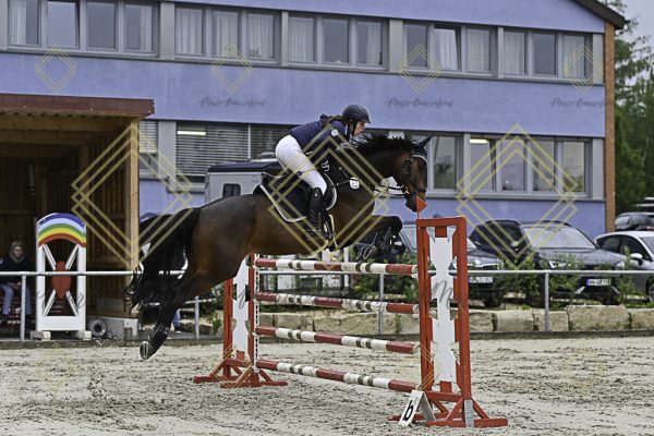 Fränkische Meisterschaft - Prüfung 1, Springpr. Kl. S* - Image 33