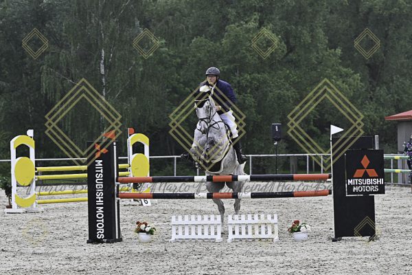Fränkische Meisterschaft - Prüfung 19, Springpr. Kl. L - Image 42