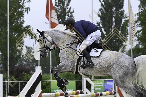 Fränkische Meisterschaft - Prüfung 19, Springpr. Kl. L - Image 43