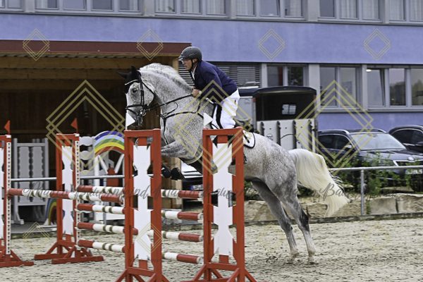 Fränkische Meisterschaft - Prüfung 19, Springpr. Kl. L - Image 44