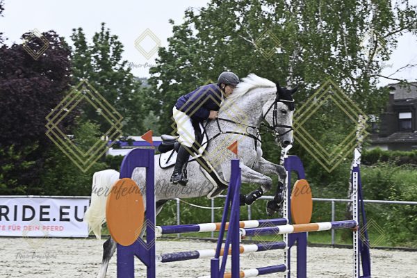 Fränkische Meisterschaft - Prüfung 19, Springpr. Kl. L - Image 45