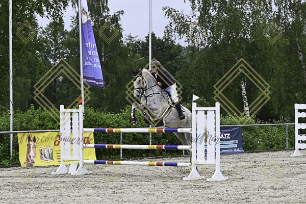 Fränkische Meisterschaft - Prüfung 18, Springpr. Kl. M* - Image 28