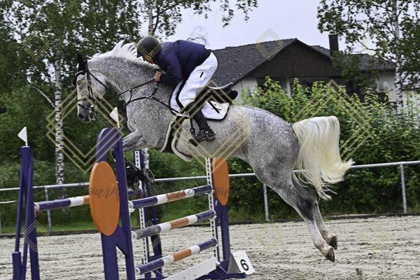 Fränkische Meisterschaft - Prüfung 18, Springpr. Kl. M* - Image 29