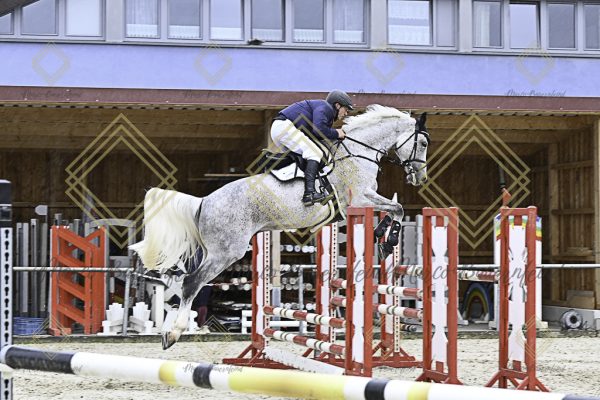 Fränkische Meisterschaft - Prüfung 18, Springpr. Kl. M* - Image 31