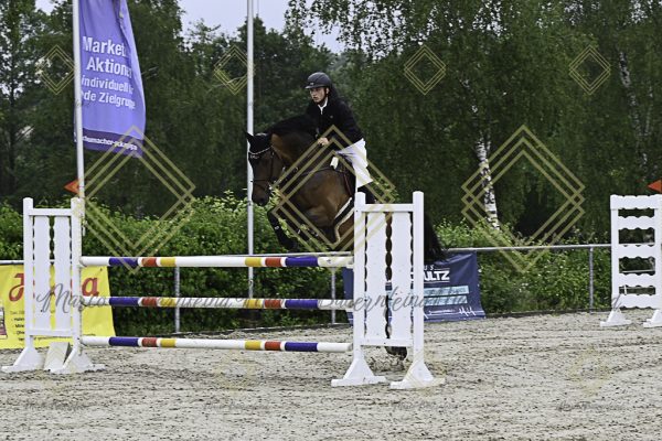Fränkische Meisterschaft - Prüfung 18, Springpr. Kl. M* - Image 35