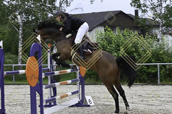 Fränkische Meisterschaft - Prüfung 18, Springpr. Kl. M* - Image 36