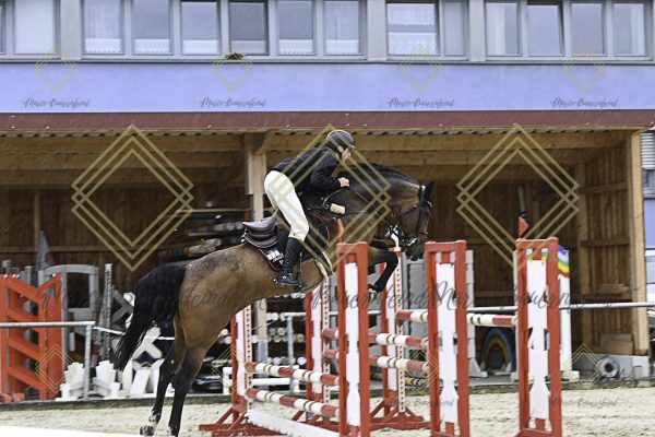 Fränkische Meisterschaft - Prüfung 18, Springpr. Kl. M* - Image 38