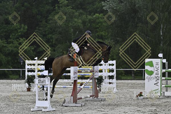 Fränkische Meisterschaft - Prüfung 1, Springpr. Kl. S* - Image 39
