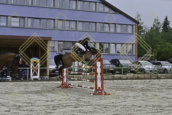 Fränkische Meisterschaft - Prüfung 1, Springpr. Kl. S* - Image 40