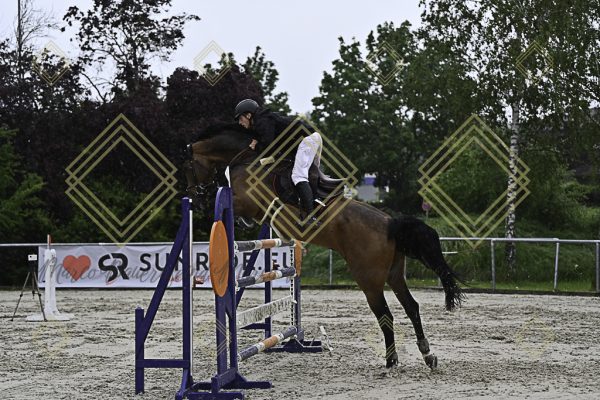 Fränkische Meisterschaft - Prüfung 1, Springpr. Kl. S* - Image 43