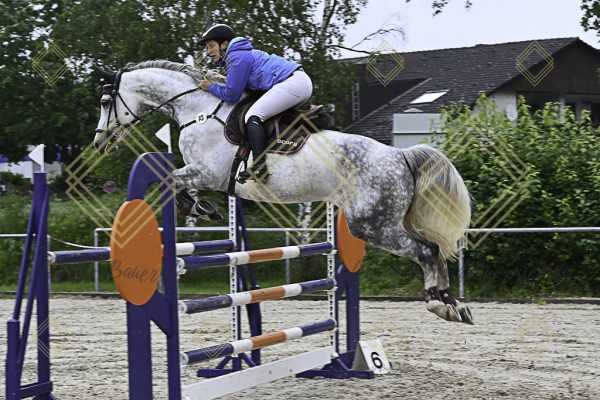 Fränkische Meisterschaft - Prüfung 18, Springpr. Kl. M* - Image 42