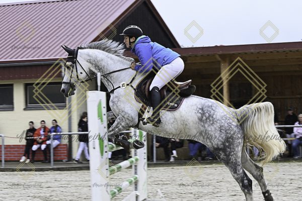 Fränkische Meisterschaft - Prüfung 18, Springpr. Kl. M* - Image 43