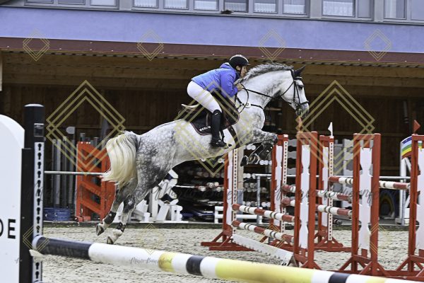 Fränkische Meisterschaft - Prüfung 18, Springpr. Kl. M* - Image 44