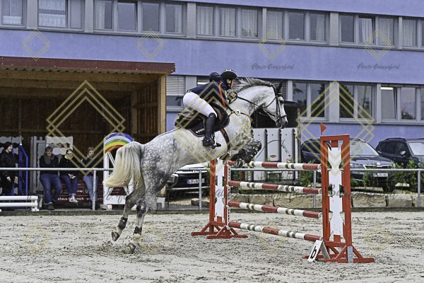 Fränkische Meisterschaft - Prüfung 1, Springpr. Kl. S* - Image 48