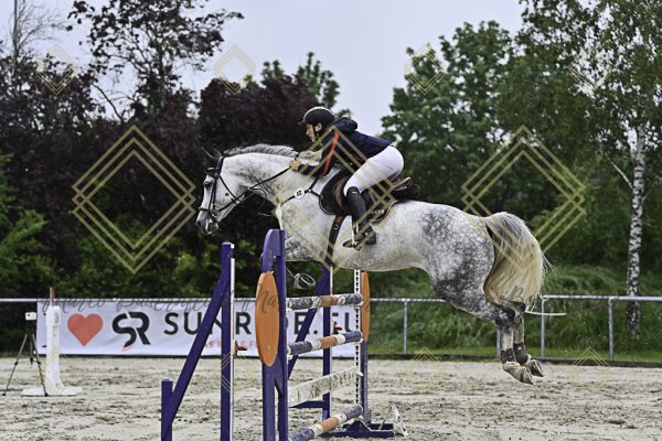Fränkische Meisterschaft - Prüfung 1, Springpr. Kl. S* - Image 52