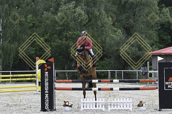 Fränkische Meisterschaft - Prüfung 19, Springpr. Kl. L - Image 46