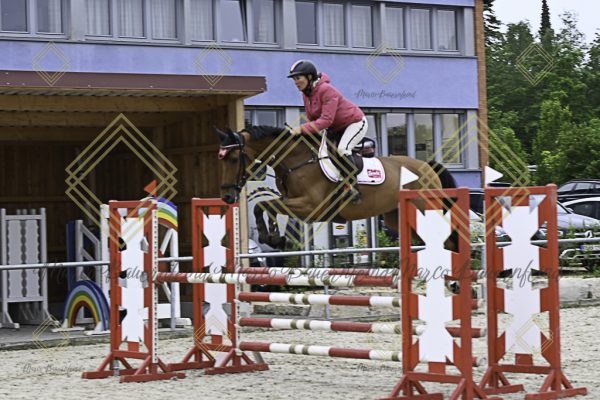Fränkische Meisterschaft - Prüfung 19, Springpr. Kl. L - Image 47