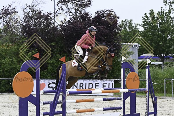 Fränkische Meisterschaft - Prüfung 19, Springpr. Kl. L - Image 49