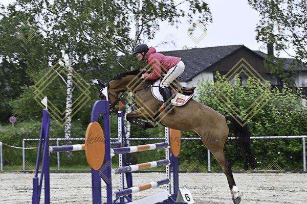 Fränkische Meisterschaft - Prüfung 18, Springpr. Kl. M* - Image 45
