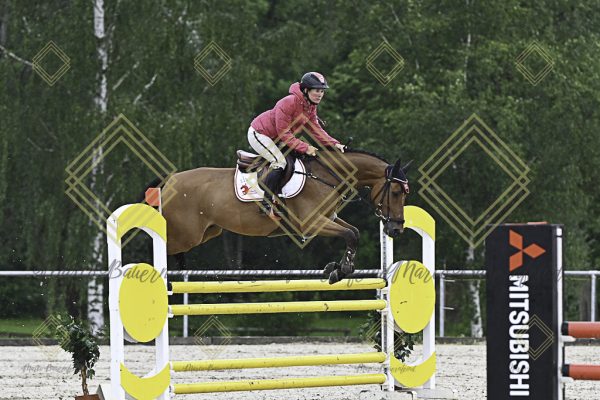 Fränkische Meisterschaft - Prüfung 18, Springpr. Kl. M* - Image 46