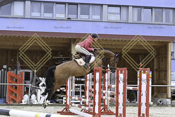 Fränkische Meisterschaft - Prüfung 18, Springpr. Kl. M* - Image 47