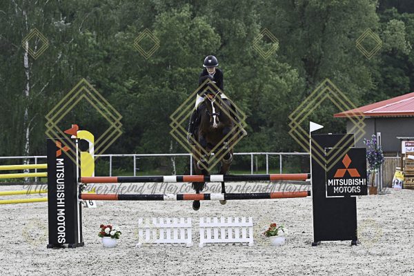 Fränkische Meisterschaft - Prüfung 19, Springpr. Kl. L - Image 51