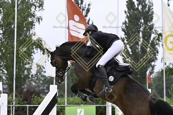 Fränkische Meisterschaft - Prüfung 19, Springpr. Kl. L - Image 53