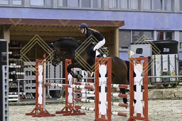 Fränkische Meisterschaft - Prüfung 19, Springpr. Kl. L - Image 54