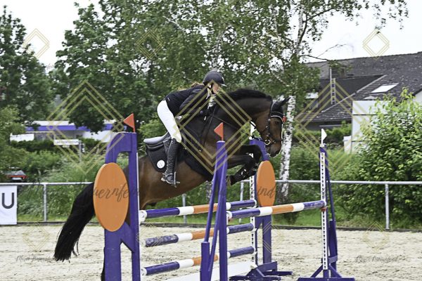Fränkische Meisterschaft - Prüfung 19, Springpr. Kl. L - Image 56