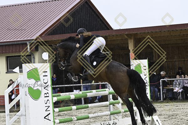 Fränkische Meisterschaft - Prüfung 7, Springpr. Kl. L - Image 20