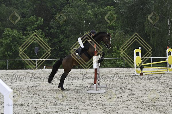 Fränkische Meisterschaft - Prüfung 7, Springpr. Kl. L - Image 21