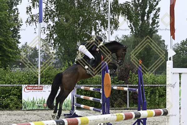 Fränkische Meisterschaft - Prüfung 7, Springpr. Kl. L - Image 23