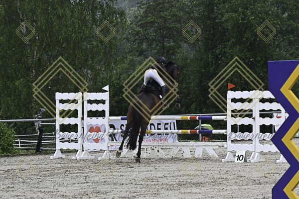 Fränkische Meisterschaft - Prüfung 7, Springpr. Kl. L - Image 24