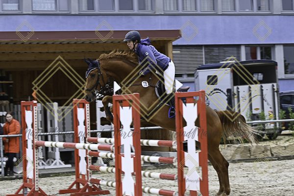 Fränkische Meisterschaft - Prüfung 19, Springpr. Kl. L - Image 59