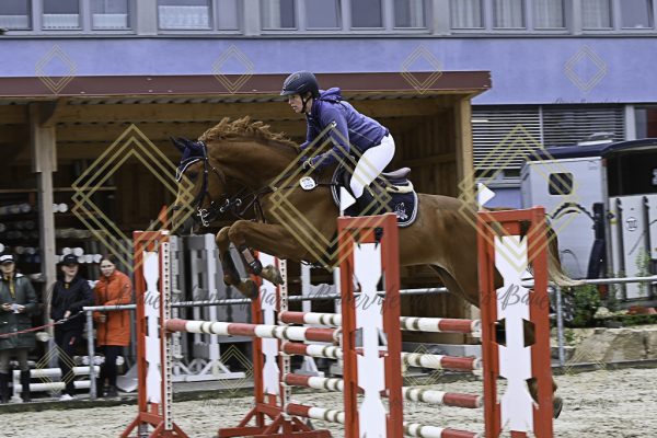 Fränkische Meisterschaft - Prüfung 19, Springpr. Kl. L - Image 60